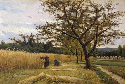 Mietitura da Joaquim Vayreda